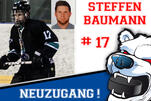 Baumann kehrt zu den Eisbären zurück